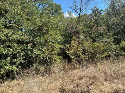 Kickapoo Avenue, Kingston, OK 73439 photo 5
