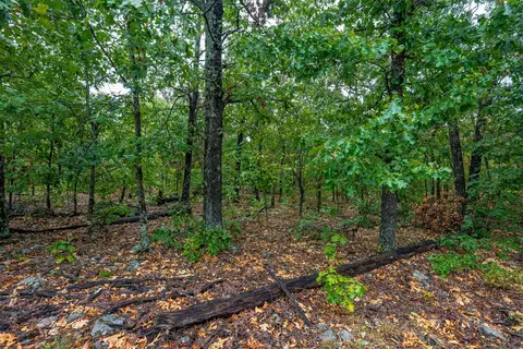 20 E 804 Rd, Welling, OK 74471 photo 10
