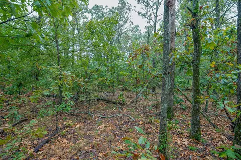 20 E 804 Rd, Welling, OK 74471 photo 17