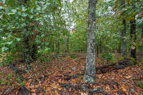 20 E 804 Rd, Welling, OK 74471 photo 8
