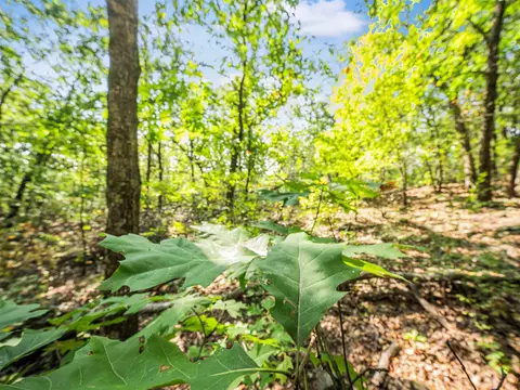 238 W Baker Rd, Haskell, OK 74436 photo 63