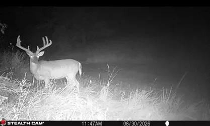 238 W Baker Rd, Haskell, OK 74436 photo 18