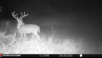 238 W Baker Rd, Haskell, OK 74436 photo 35