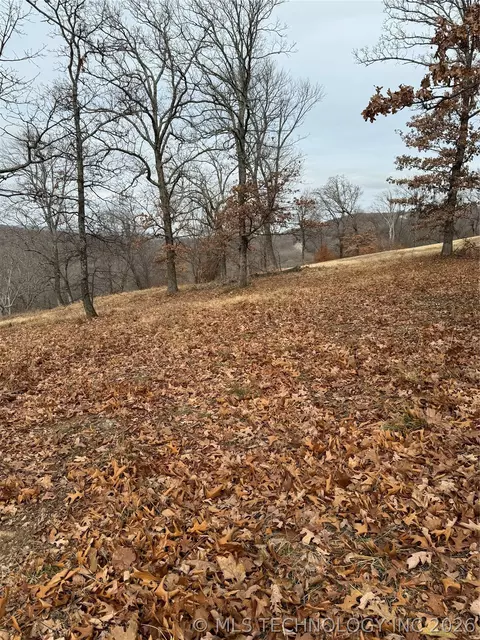 View/Area - 22 E Timbercrest Rd, Cookson, OK 74427 photo 3 of 7