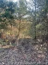 Goff Circle, Dyer, AR 72921 photo 3
