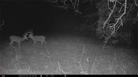 384 6, Stuart, OK 74570 photo 15