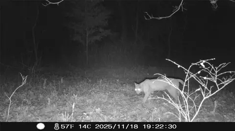 384 6, Stuart, OK 74570 photo 11
