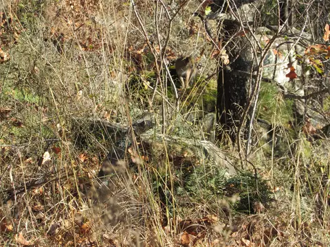 384 6, Stuart, OK 74570 photo 22