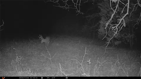 384 6, Stuart, OK 74570 photo 13