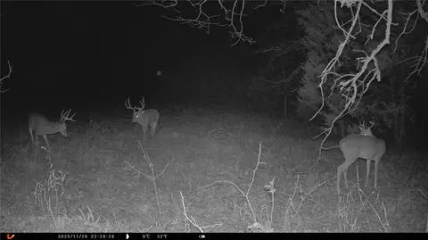 384 6, Stuart, OK 74570 photo 14