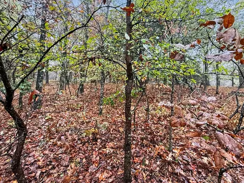 Exterior - S 4545 Loop, Vian, OK 74962 photo 6 of 21