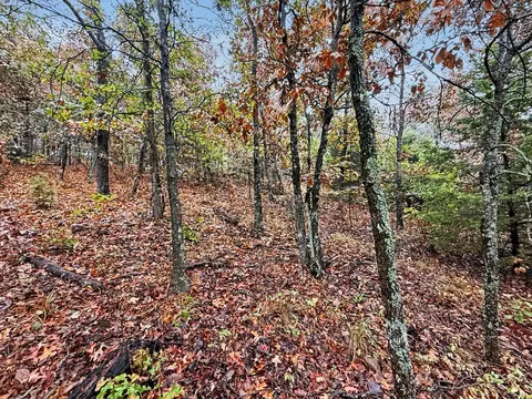 Exterior - S 4545 Loop, Vian, OK 74962 photo 13 of 21
