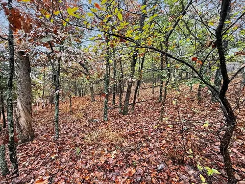 Exterior - S 4545 Loop, Vian, OK 74962 photo 5 of 21