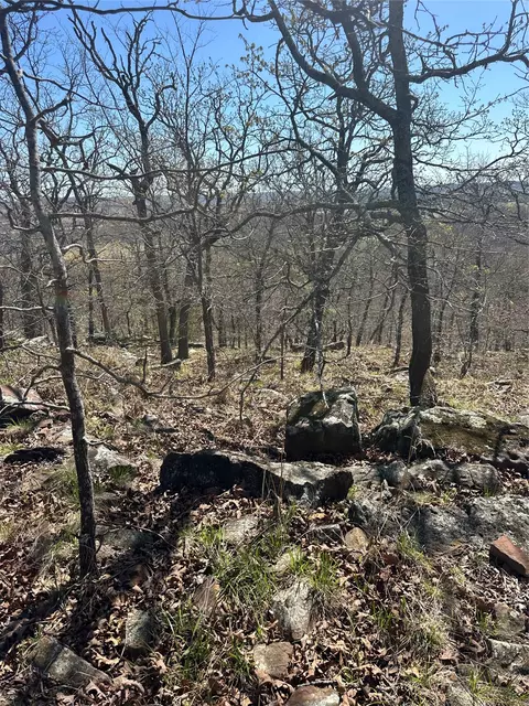 001 E Freds Fish Camp Rd, Stringtown, OK 74569 photo 9