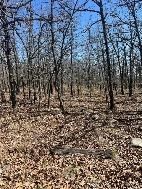 001 E Freds Fish Camp Rd, Stringtown, OK 74569 photo 7