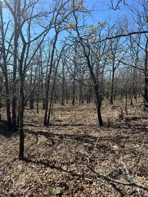 001 E Freds Fish Camp Rd, Stringtown, OK 74569 photo 6