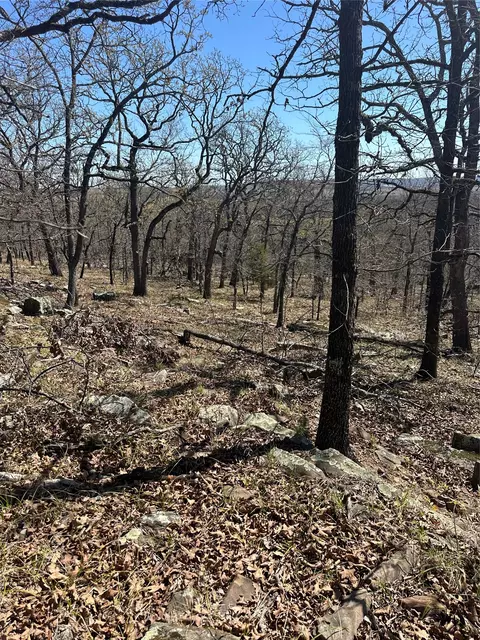 001 E Freds Fish Camp Rd, Stringtown, OK 74569 photo 10