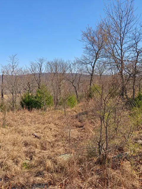000 966 Rd, Vian, OK 74962 photo 2