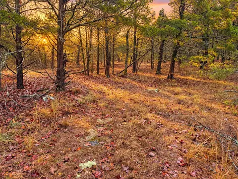 44591 E 1000 Rd, Gore, OK 74435 photo 28