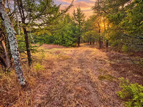44591 E 1000 Rd, Gore, OK 74435 photo 30