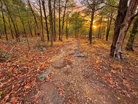 44591 E 1000 Rd, Gore, OK 74435 photo 20
