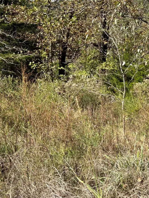 S 4673 Road, Gans, OK 74936 photo 5