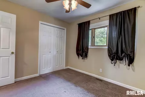 27 Birch Dr, Chatham, IL 62629 photo 16