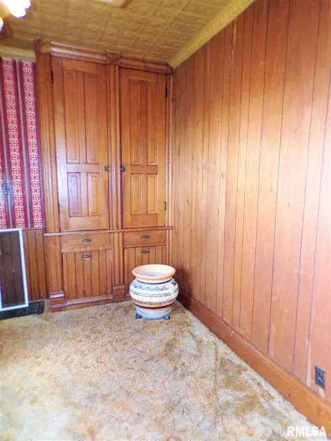 401 E Main St, Altona, IL 61414 photo 39