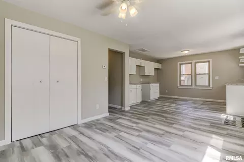 1124 N Ohio Ave, Springfield, IL 62702 photo 21