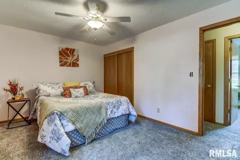 41 Hollybrook Dr, Springfield, IL 62702 photo 14