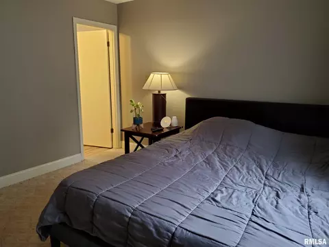 107 Windsor Rd, Springfield, IL 62702 photo 29