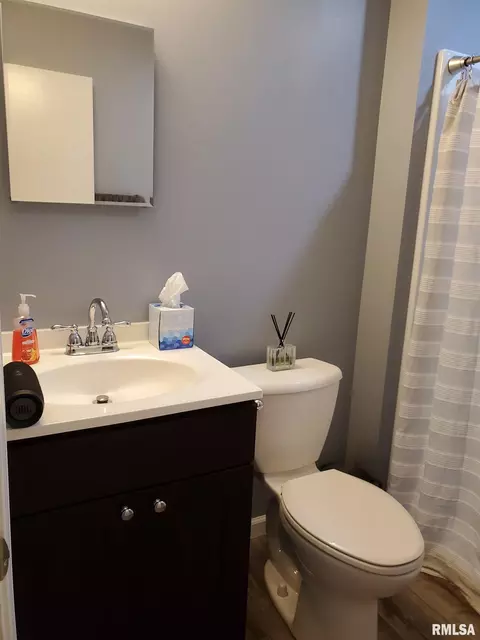 107 Windsor Rd, Springfield, IL 62702 photo 32