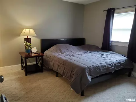 107 Windsor Rd, Springfield, IL 62702 photo 28