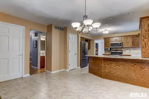 2917 Mill Point Ct, Springfield, IL 62704 photo 14