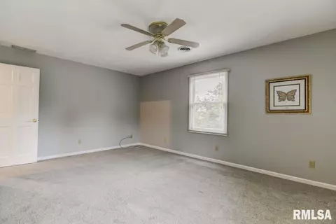2917 Mill Point Ct, Springfield, IL 62704 photo 27