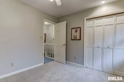2917 Mill Point Ct, Springfield, IL 62704 photo 38