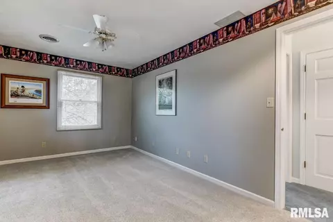 2917 Mill Point Ct, Springfield, IL 62704 photo 35