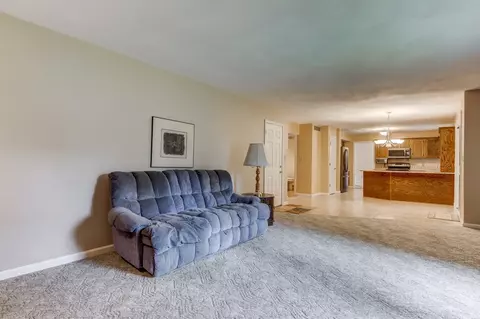 2917 Mill Point Ct, Springfield, IL 62704 photo 23