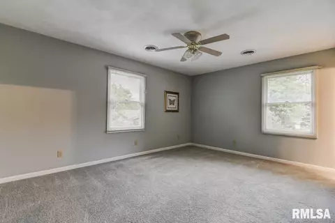 2917 Mill Point Ct, Springfield, IL 62704 photo 30