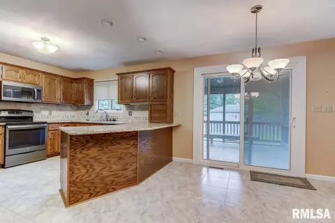 2917 Mill Point Ct, Springfield, IL 62704 photo 18