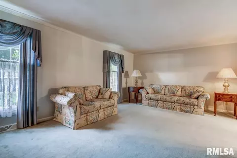 2917 Mill Point Ct, Springfield, IL 62704 photo 6