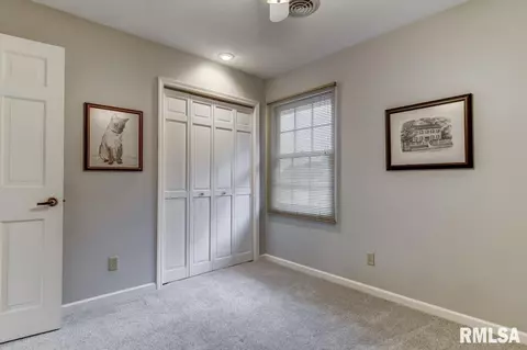 2917 Mill Point Ct, Springfield, IL 62704 photo 40