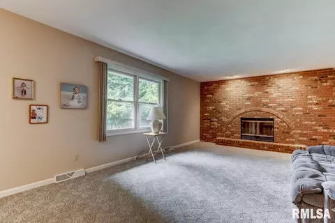 2917 Mill Point Ct, Springfield, IL 62704 photo 24