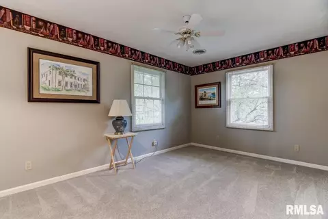 2917 Mill Point Ct, Springfield, IL 62704 photo 32
