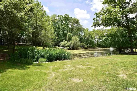 6 Lamplighter Ln, Springfield, IL 62712 photo 49