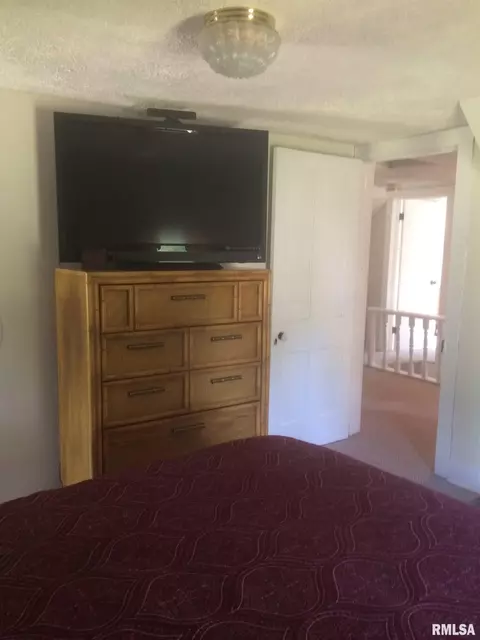 703 N Taylor St, Athens, IL 62613 photo 32
