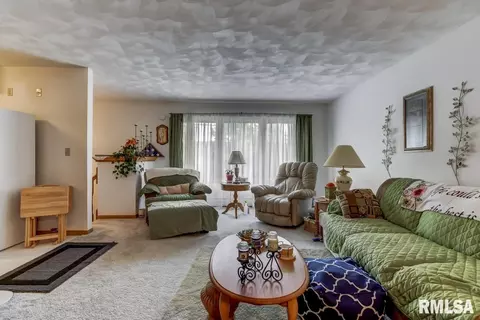 1230 E Stanford Ave, Springfield, IL 62703 photo 2