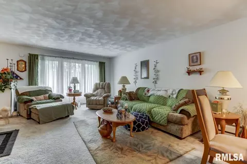 1230 E Stanford Ave, Springfield, IL 62703 photo 5