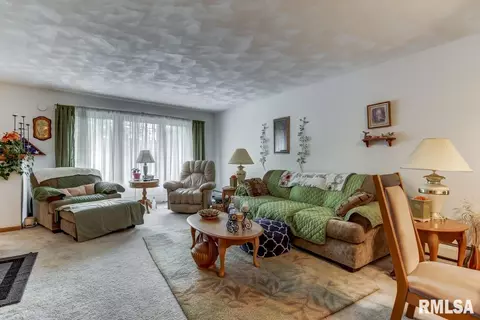 1230 E Stanford Ave, Springfield, IL 62703 photo 3