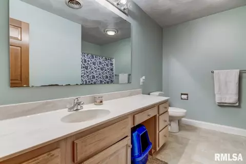 2208 Silver Mill Ct, Springfield, IL 62704 photo 25